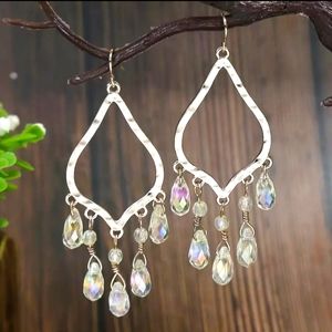 Sparkling earrings NWT